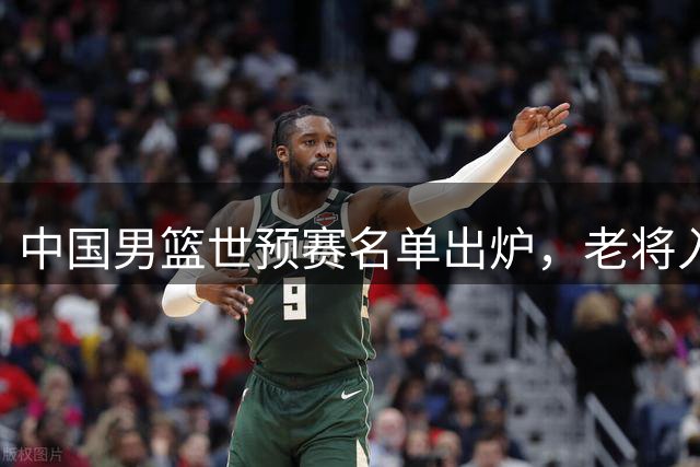 中国男篮世预赛名单出炉，老将入选引热议