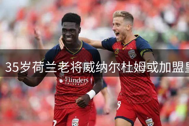 35岁荷兰老将威纳尔杜姆或加盟皇家盐湖城 谈判正在进行中